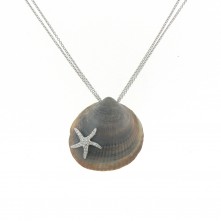 Hoshi: Star