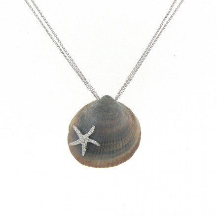 Hoshi: Star